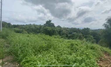 Eastland Heights Residential Lot for Sale in Antipolo Rizal Overlooking Laguna Lake