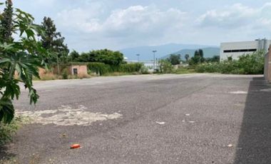 TERRENO EN RENTA Y/O VENTA, TLAJOMULCO, CABECERA MUNICIPAL, JALISCO