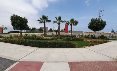 TERRENO RESIDENCIAL EN  ALAMEDA LIMA SUR - CHILCA