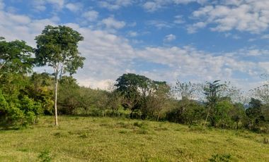 VENDO FINCA GANADERA 34.7 HA EN TARAPOTO - PERU
