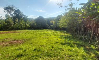 VENDO FINCA GANADERA 34.7 HA EN TARAPOTO - PERU