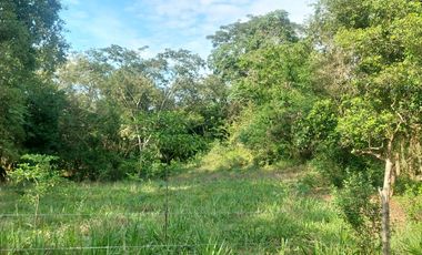 VENDO FINCA GANADERA 34.7 HA EN TARAPOTO - PERU