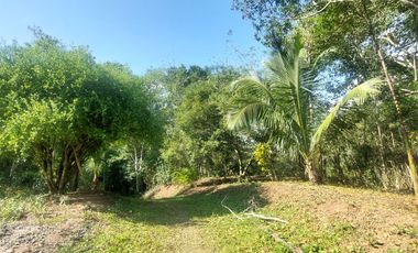 VENDO FINCA GANADERA 34.7 HA EN TARAPOTO - PERU