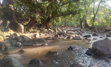 VENDO FINCA GANADERA 34.7 HA EN TARAPOTO - PERU