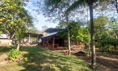VENDO FINCA GANADERA 34.7 HA EN TARAPOTO - PERU