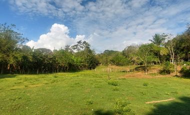 VENDO FINCA GANADERA 34.7 HA EN TARAPOTO - PERU