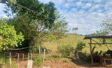 VENDO FINCA GANADERA 34.7 HA EN TARAPOTO - PERU