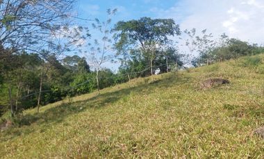 VENDO FINCA GANADERA 34.7 HA EN TARAPOTO - PERU