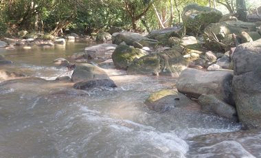 VENDO FINCA GANADERA 34.7 HA EN TARAPOTO - PERU