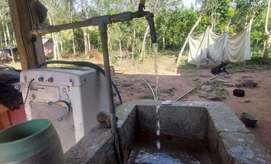 VENDO FINCA GANADERA 34.7 HA EN TARAPOTO - PERU