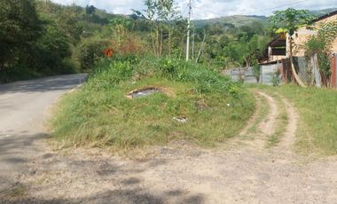 VENDO FINCA GANADERA 34.7 HA EN TARAPOTO - PERU