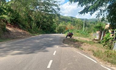 VENDO FINCA GANADERA 34.7 HA EN TARAPOTO - PERU