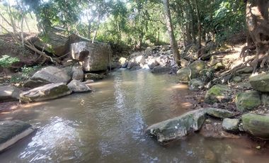 VENDO FINCA GANADERA 34.7 HA EN TARAPOTO - PERU