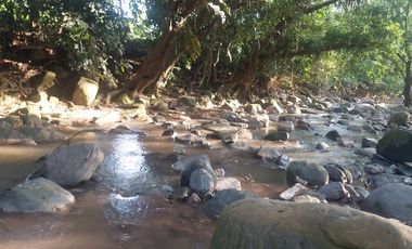 VENDO FINCA GANADERA 34.7 HA EN TARAPOTO - PERU