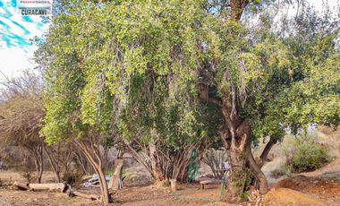 🏠León Propiedades vende casa estilo mediterraneo, en sector Los Naranjos, Curacavi🏠