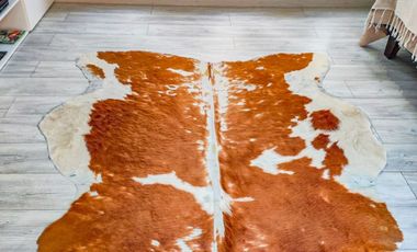 🏠León Propiedades vende casa estilo mediterraneo, en sector Los Naranjos, Curacavi🏠