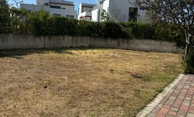 Terreno en venta en Bosques Vallarta coto Amate, Zapopan, Jalisco