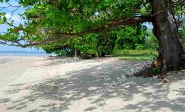 39.5 Hectares White Sand Beach Front Lot For Sale along Pagapas Bay, Brgy. Bagong Silang, Calatagan, Batangas