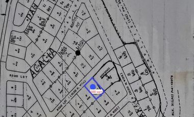 600 sqm Lot for SALE in Woodland Carmenville Subdivision Angeles City near CLARK