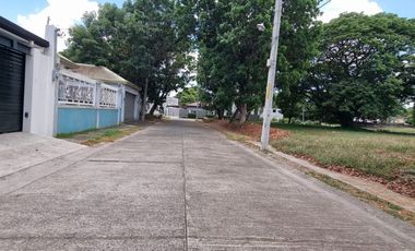 600 sqm Lot for SALE in Woodland Carmenville Subdivision Angeles City near CLARK