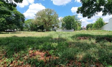 600 sqm Lot for SALE in Woodland Carmenville Subdivision Angeles City near CLARK