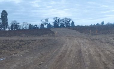 2024/519   HERMOSAS PARCELA SECTOR LO PATRICIO PELARCO