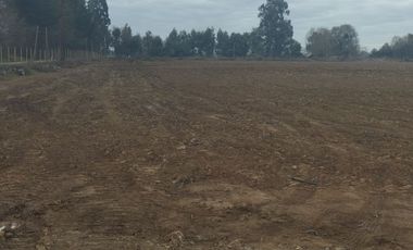 2024/519   HERMOSAS PARCELA SECTOR LO PATRICIO PELARCO