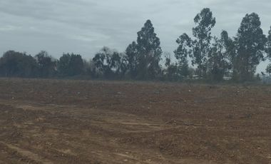 2024/519   HERMOSAS PARCELA SECTOR LO PATRICIO PELARCO