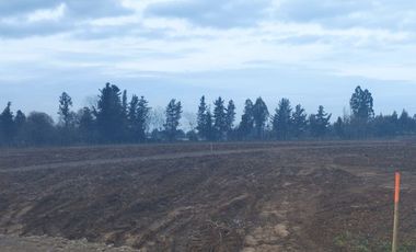 2024/519   HERMOSAS PARCELA SECTOR LO PATRICIO PELARCO