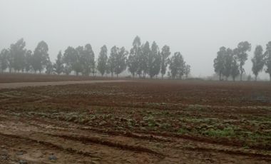 2024/519   HERMOSAS PARCELA SECTOR LO PATRICIO PELARCO