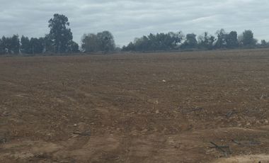2024/519   HERMOSAS PARCELA SECTOR LO PATRICIO PELARCO