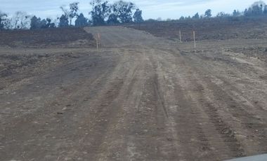 2024/519   HERMOSAS PARCELA SECTOR LO PATRICIO PELARCO