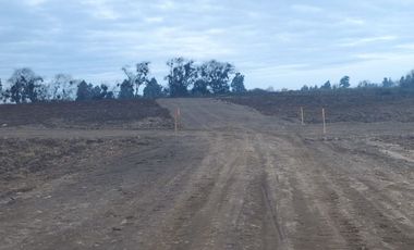 2024/519   HERMOSAS PARCELA SECTOR LO PATRICIO PELARCO