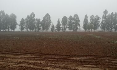 2024/519   HERMOSAS PARCELA SECTOR LO PATRICIO PELARCO