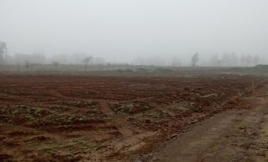 2024/519   HERMOSAS PARCELA SECTOR LO PATRICIO PELARCO