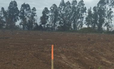 2024/519   HERMOSAS PARCELA SECTOR LO PATRICIO PELARCO