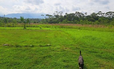 Precio de Remate Complejo Turístico - Hostería Cotundo Archidona - Oriente Ecuador . C: 968 M², T: 15.000 M². $ 179.000