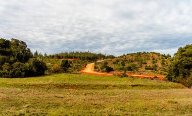 Parcelas de 20.000 m² entre Quintay y Curauma | Casablanca