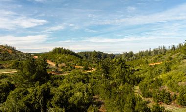 Parcelas de 20.000 m² entre Quintay y Curauma | Casablanca