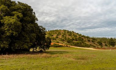Parcelas de 20.000 m² entre Quintay y Curauma | Casablanca
