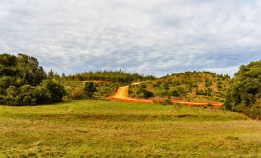 Parcelas de 20.000 m² en entorno natural, con 80% de avance en obras, reglamento de convivencia y bono de preventa en últimos días.