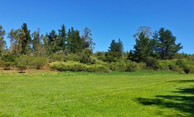 Parcelas de 20.000 m² en entorno natural, con 80% de avance en obras, reglamento de convivencia y bono de preventa en últimos días.