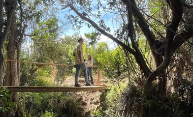 Parcelas de 20.000 m² en entorno natural, con 80% de avance en obras, reglamento de convivencia y bono de preventa en últimos días.