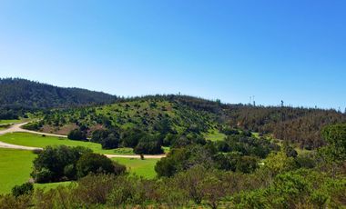 Parcelas de 20.000 m² en entorno natural, con 80% de avance en obras, reglamento de convivencia y bono de preventa en últimos días.