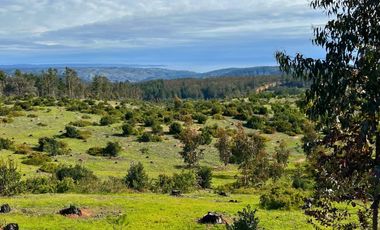 Parcelas de 20.000 m² en entorno natural, con 80% de avance en obras, reglamento de convivencia y bono de preventa en últimos días.