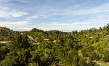 Parcelas de 20.000 m² en entorno natural, con 80% de avance en obras, reglamento de convivencia y bono de preventa en últimos días.