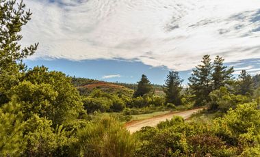 Parcelas de 20.000 m² en entorno natural, con 80% de avance en obras, reglamento de convivencia y bono de preventa en últimos días.