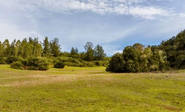 Parcelas de 20.000 m² en entorno natural, con 80% de avance en obras, reglamento de convivencia y bono de preventa en últimos días.