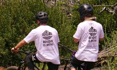 Parcelas de 20.000 m² en entorno natural, con 80% de avance en obras, reglamento de convivencia y bono de preventa en últimos días.