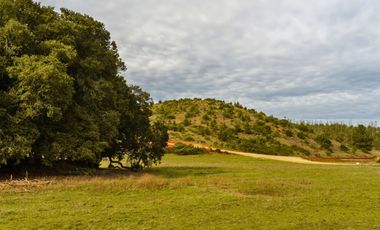 Parcelas de 20.000 m² en entorno natural, con 80% de avance en obras, reglamento de convivencia y bono de preventa en últimos días.